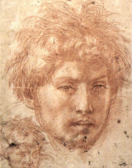 Head of a Young Man